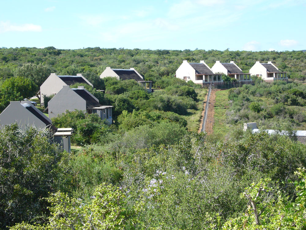 Addo Main Rest Camp, Addo Elephant National Park - Greater Addo Reservations