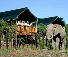 Addo Elephant National Park - Addo Main Rest Camp