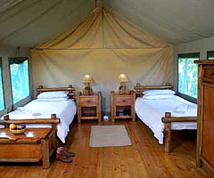 Addo Elephant National Park - Addo Main Rest Camp