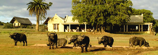 Gorah Elephant Camp - Greater Addo Elephant Park