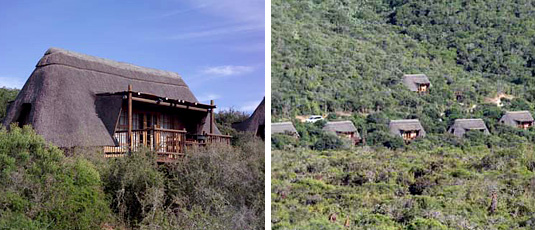 Addo Elephant National Park - Mathyolweni Rest Camp