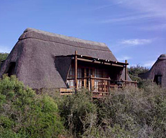 Addo Elephant National Park - Mathyolweni Rest Camp