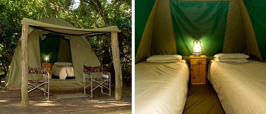 Addo Elephant National Park - Narina Bush Camp