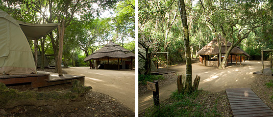 Addo Elephant National Park - Narina Bush Camp