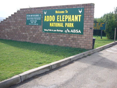Addo Elephant park Main Camp