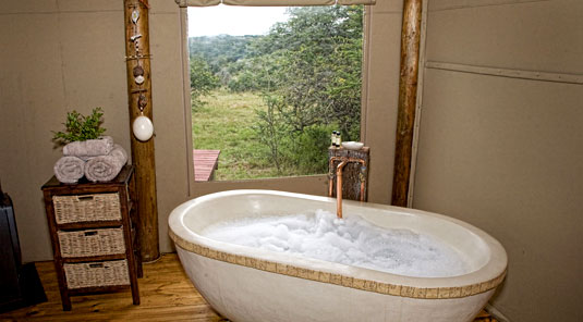 Amakhala Game Reserve - Bush Lodge