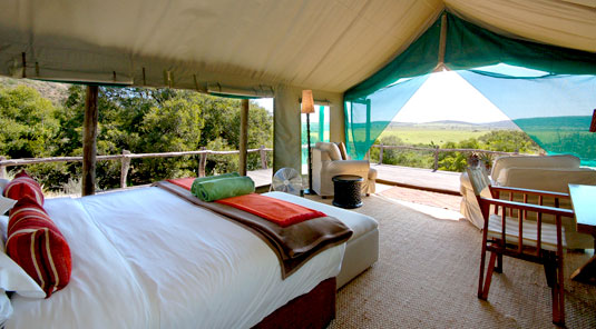 Amakhala Game Reserve - HillsNek Safaris