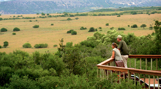 Amakhala Game Reserve - Woodbury Lodge