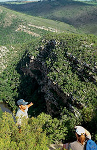 Kariega Game Reserve View