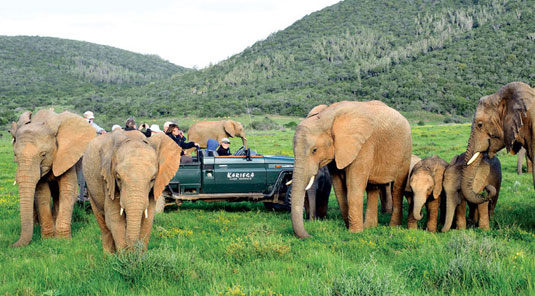 Kariega Game Reserve, Eastern Cape