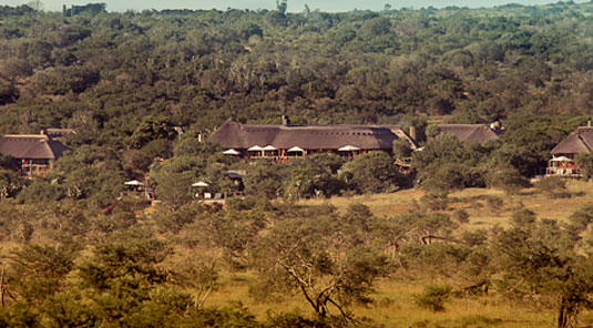 Msenge Bush Lodge - Pumba Private Game Reserve