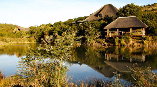 Shamwari Game Reserve - Bayethe Lodge 