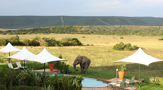 Long Lee Manor - Shamwari Game Reserve