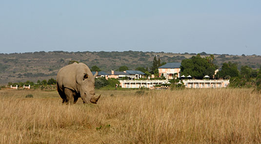 Shamwari Game Reserve, Eastern Cape