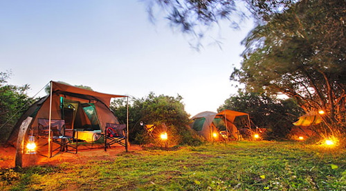 Shamwari Explorer Camp - Shamwari Game Reserve