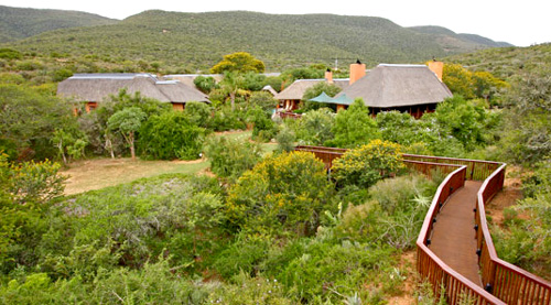 Villa Lobengula - Shamwari Game Reserve