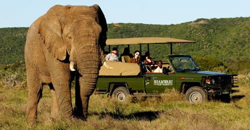 Shamwari Game Reserve, Eastern Cape